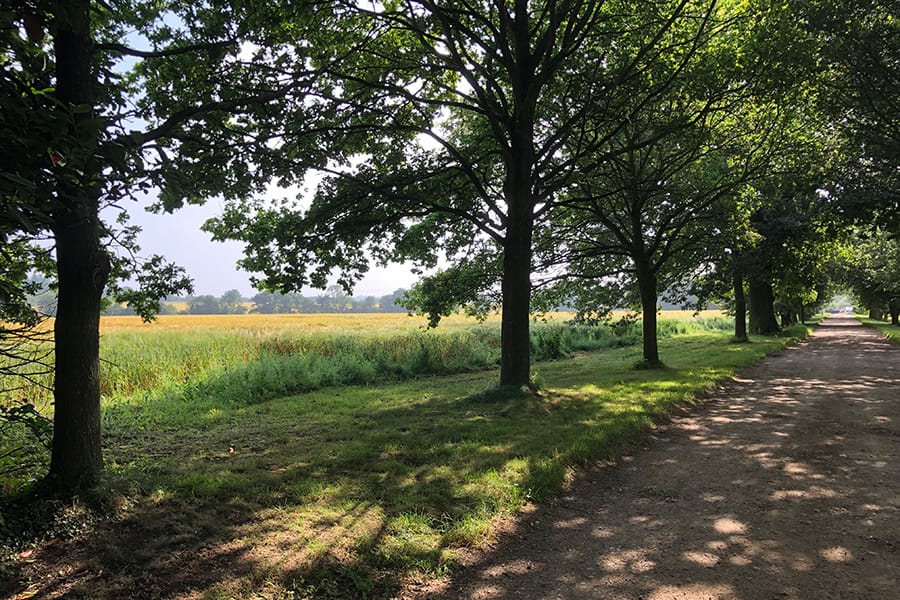 Country Road