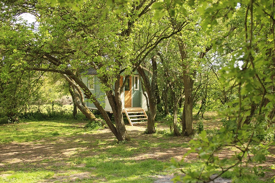 Kestrel Shepherd Hut