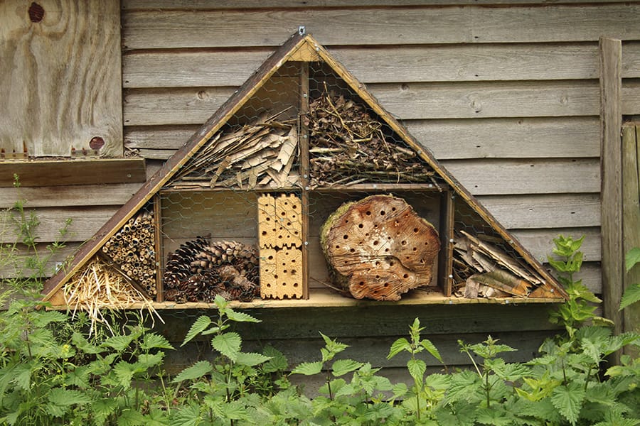 Sustainability and Biodiversity