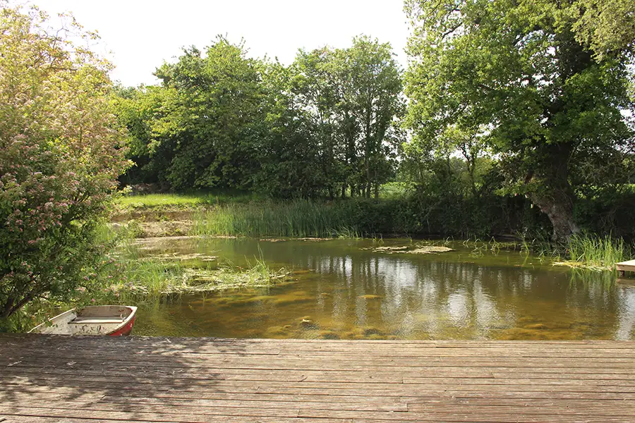 Sustainability and Biodiversity