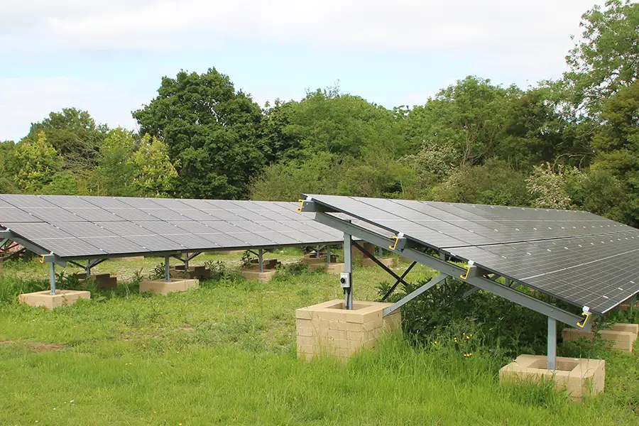 Sustainability and Biodiversity