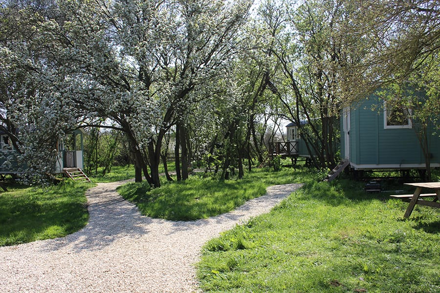 Tawny Shepherd Hut